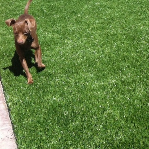 Artificial grass 20mm 25mm - artificial, 20mm,